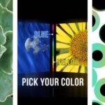 wallpaper android application